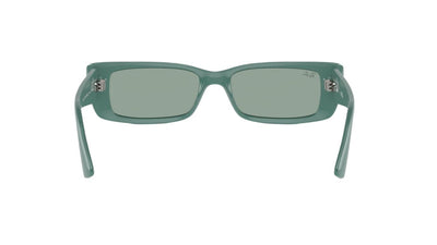 Ray-Ban Teru RB4425-Sunglasses-