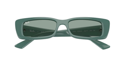 Ray-Ban Teru RB4425-Sunglasses-