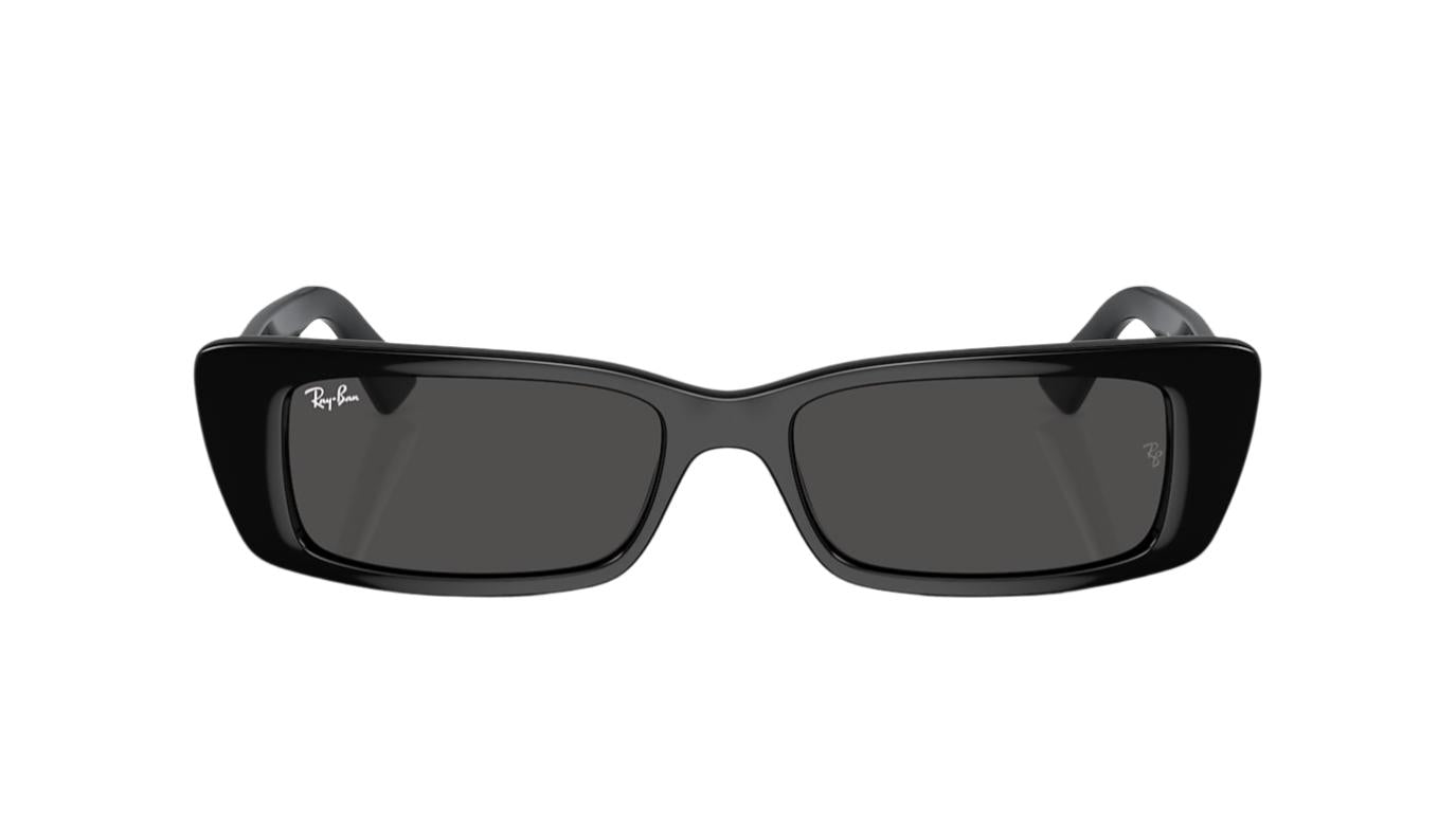 Ray-Ban Teru RB4425-Sunglasses-