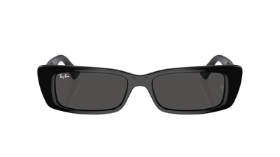 Ray-Ban Teru RB4425-Sunglasses-