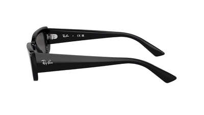 Ray-Ban Teru RB4425-Sunglasses-
