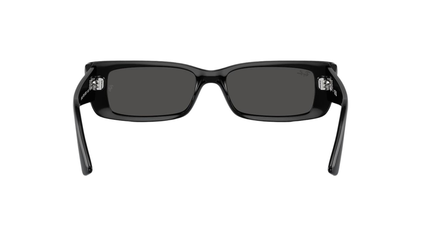 Ray-Ban Teru RB4425-Sunglasses-