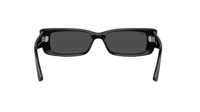 Ray-Ban Teru RB4425-Sunglasses-