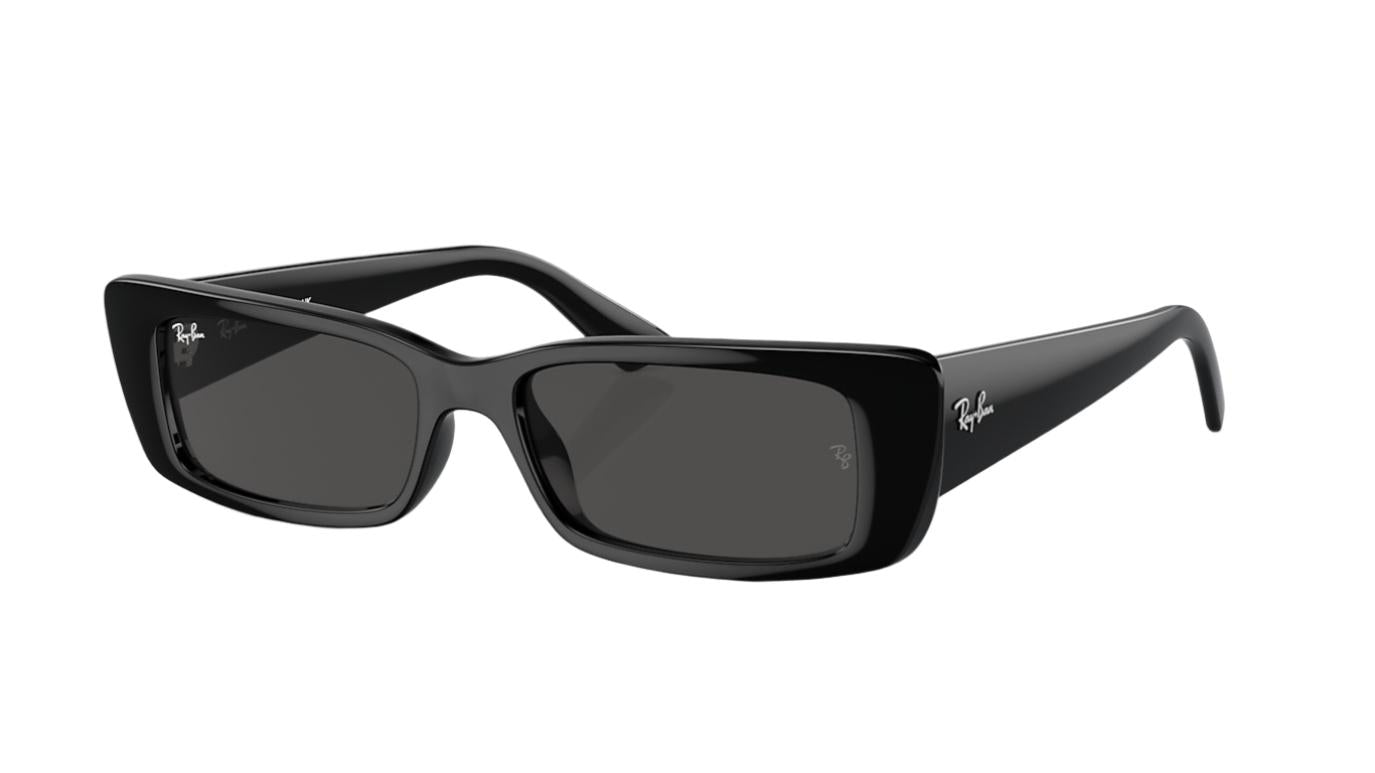 Ray-Ban Teru RB4425-Sunglasses-Black-Dark Grey-54