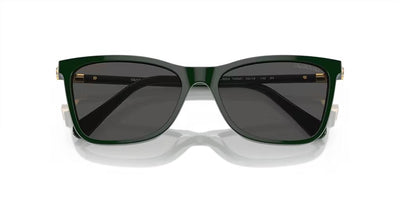 Swarovski SK6004-Sunglasses-