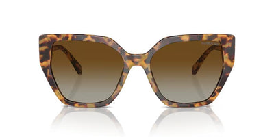 Swarovski SK6016-Sunglasses-