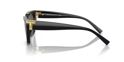 Tiffany TF4205U-Sunglasses-