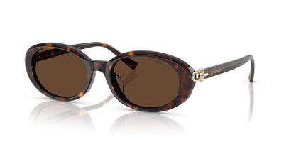 Tiffany TF4242D-Sunglasses-Havana-Light Brown-