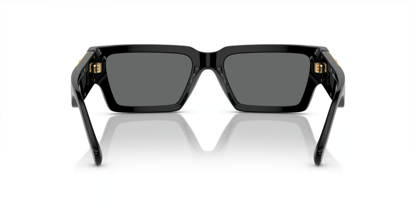 Versace VE4459-Sunglasses-Topline Eyewear