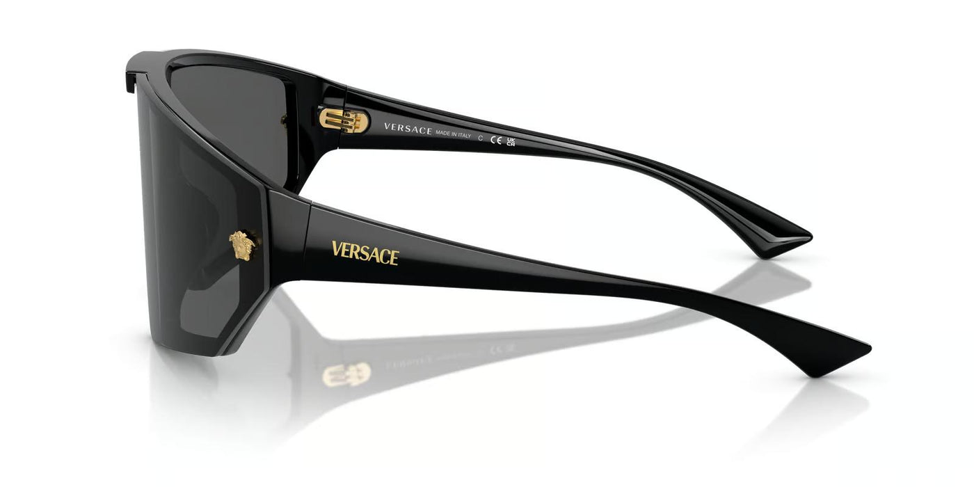 Versace VE4461-Sunglasses-